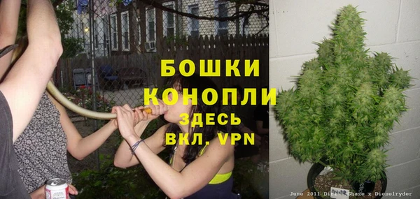 гашик Дмитриев
