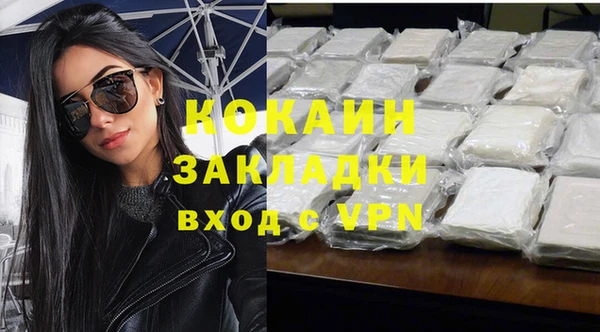 гашик Дмитриев