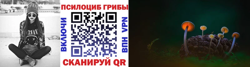 как найти закладки  Глазов  Псилоцибиновые грибы прущие грибы 